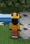 Screenshot 23