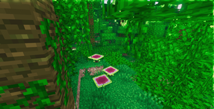 Carnivorous Plants Addition