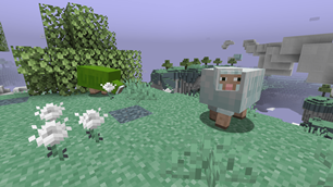 Sheepuff
