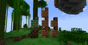 cookies and cookie tiles