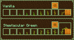 Pumpkin Growth Stages 1