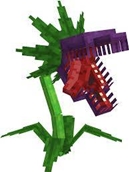 images.jpeg