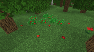Strawberry Bushes