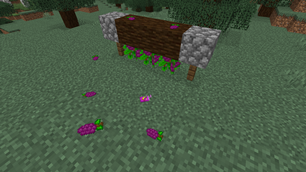 Grapeyard