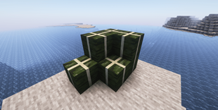Dried Kelp Block
