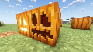 Pumpkins in a field