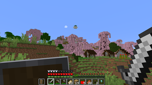 What is this place?
