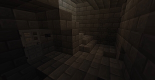pit 5.jpg