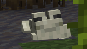 fr5.png