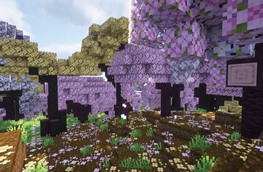 A beautiful world to discover