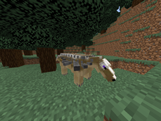edmontonia.png
