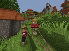 Lead Villagers