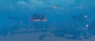 Warm Ocean