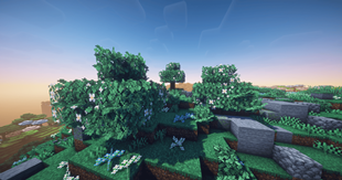 Flowering oak Leaves