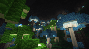 Bioshroom Caves