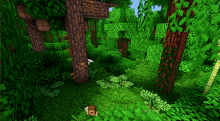 jungle overhaul.png