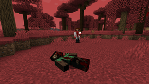 Patient 0 in "Blood Forest"