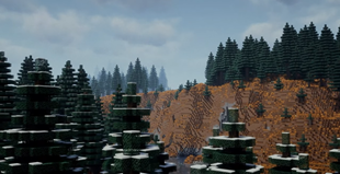 Terrain