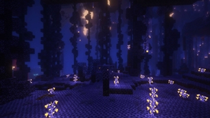 New Nether Biomes