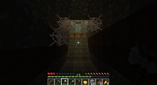 Inside an Egg.jpg