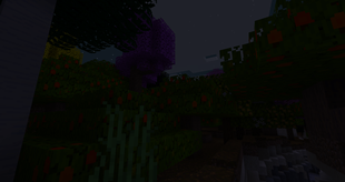 2025-02-07_08.18.49.png