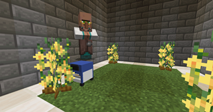 New Villager