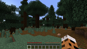 Display: Action bar