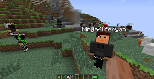 Future Player Entity