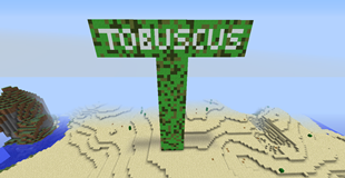 Tobuscus Tower