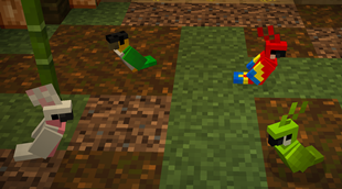 Parrots :D