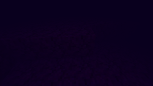 Layer 4