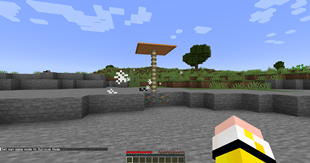 security_overkill_2