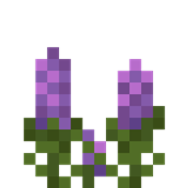 Lavender!