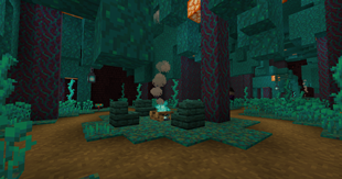 Warped Forest Dungeon