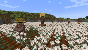 Cotton farm