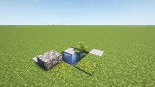 Pond