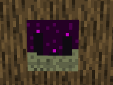 The End