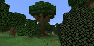 large_Oak_2.jpg