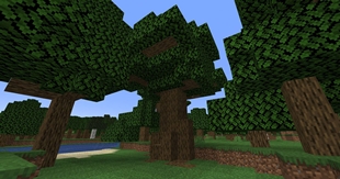 Large_Oak_3.jpg