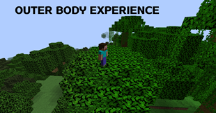 Outer body experience