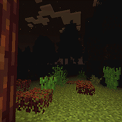 Woods