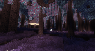 The Eternal Starlight