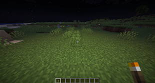 006-HoldingTorch.png