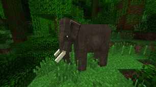 Asian Elephant