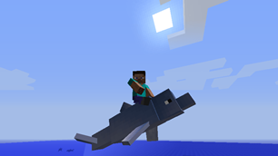 Dolphin Riding
