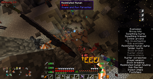 Screenshot 2(older Version)