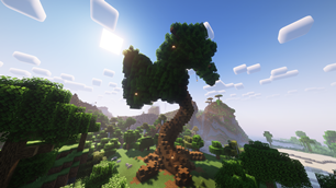 Large Oak Tree