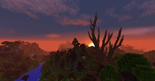 Server Image