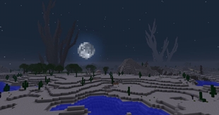 Server Image