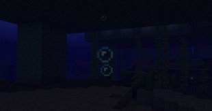 Server Image